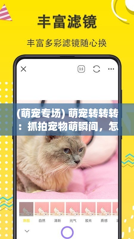 (萌宠专场) 萌宠转转转：抓拍宠物萌瞬间，怎样利用相机拍出好照片？轻松记录宠物成长点滴！